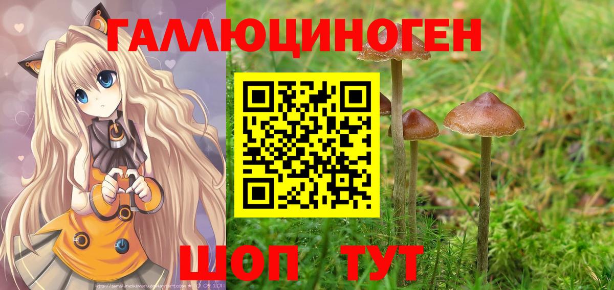 Псилоцибиновые грибы MAGIC MUSHROOMS  Вход с VPN  сколько стоит  Псилоцибиновые грибы Psilocybine cubensis  Назарово 